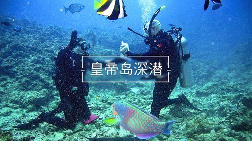 探索什么是平曲线和竖曲线——你的智慧知识问答之选